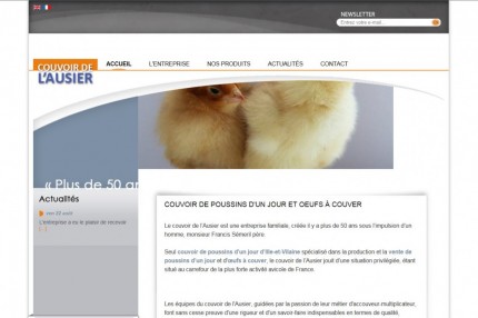Rédacteur Web pour Ausier poussins